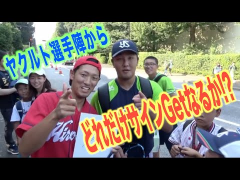 神宮球場で風張選手のハンパない人気度!!