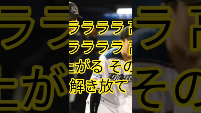 阪神タイガース 高濱祐仁選手応援歌#応援歌#shorts
