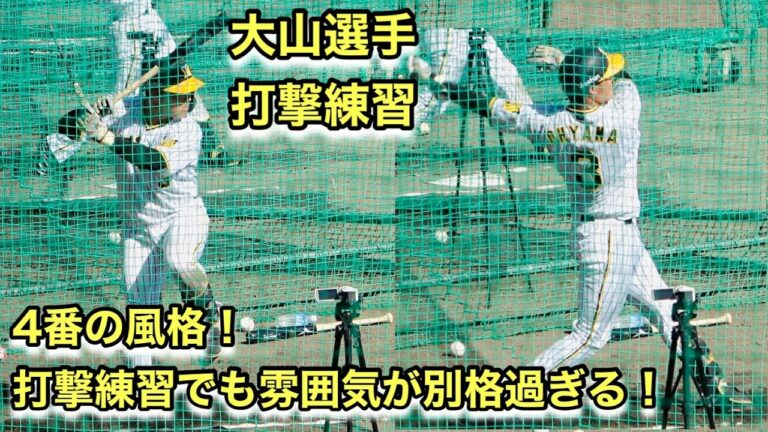 ４番の風格！打撃練習でも雰囲気がすごい!大山選手の打撃練習【2022年阪神タイガース安芸秋季キャンプ】