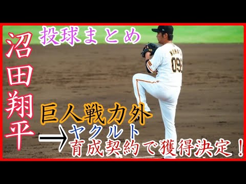 巨人戦力外→ヤクルト育成で獲得！元読売ジャイアンツ沼田翔平の投球！vs大阪桐蔭最強世代の1番打者 宮﨑仁斗