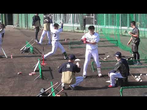 【プロ野球】　オリックス　秋季キャンプ2022　『ティー、24紅林　中嶋監督からマンツーマン指導』