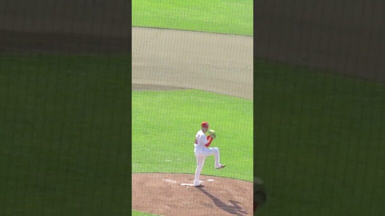 トライアウトを受けるカープ高橋樹也の投球練習