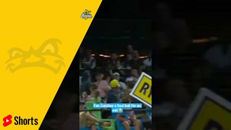 Fan Catches Foul Ball for an OUT | Banana Ball