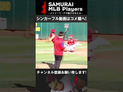 【大谷翔平】高速シンカーとフォーシームの軌道を後ろのアングルから比較