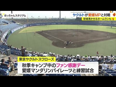 ヤクルト秋季キャンプ　愛媛MPと練習試合【愛媛】 (22/11/12 18:00)