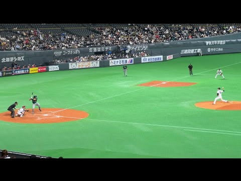 侍ジャパン対オーストラリア強化試合、森友哉&戸郷バッテリー　in札幌ドーム