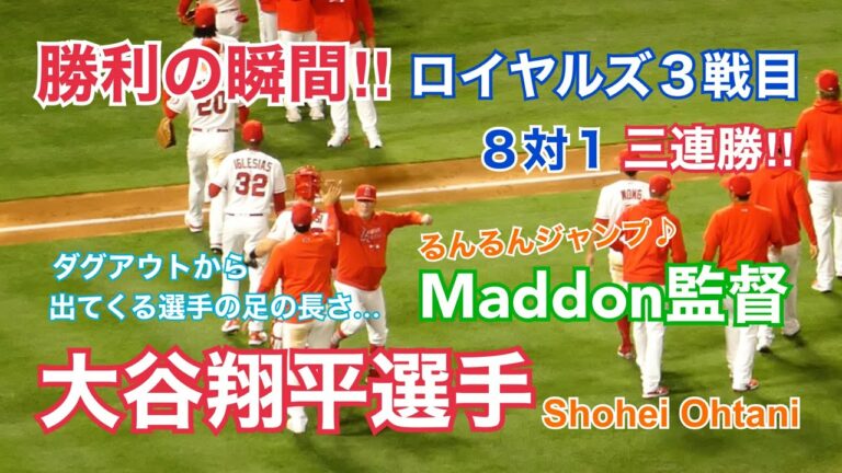 【大谷翔平選手】ロイヤルズ戦３日目  勝利の瞬間!! Maddon監督かわいすぎ‼︎ 現地撮影撮って出し映像  スタジアムの音をそのまま  Shohei Ohtani