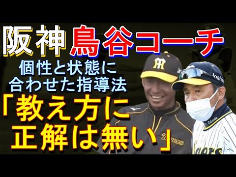 阪神 鳥谷が臨時コーチに 2022年11月13日