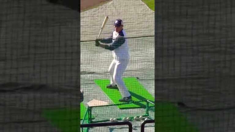 【きんに君】ヤクルト中山翔太のトライアウト直前トスバッティングの様子