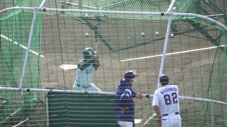 2022/11/12(土) フリーバッティング(キャンプ中) 赤羽由紘(東京ヤクルトスワローズ)