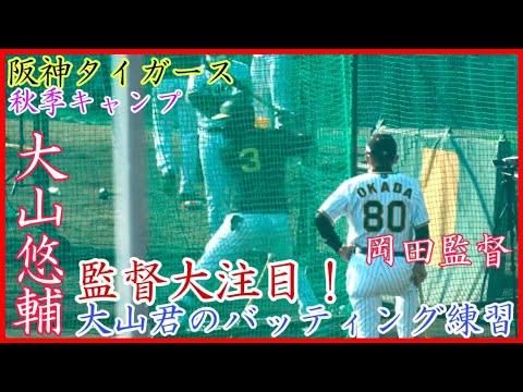 【秋季キャンプ】岡田監督が熱視線！阪神 大山悠輔のバッティング練習！