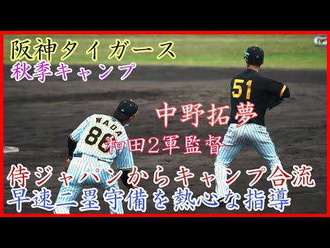 【秋季キャンプ】侍ジャパンから帰ってきた阪神 中野拓夢の二塁送球練習！名手和田二軍監督から熱心な指導！