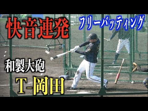 完全復活!?T 岡田がフリーバッティングで快音連発【オリックスバファローズ】