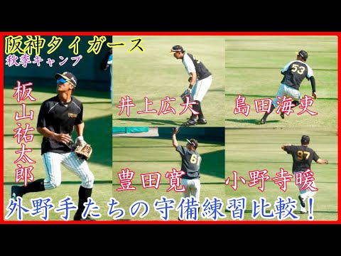 【秋季キャンプ】激化する外野争い！阪神タイガース板山ら外野手たちの守備練習比較！