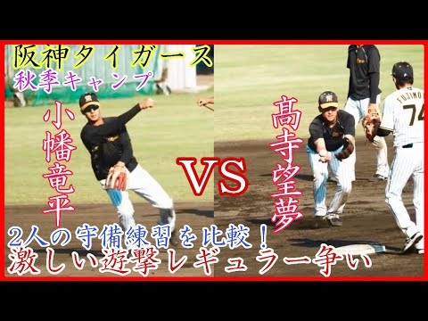 【秋季キャンプ】激しいレギュラー争い！阪神 小幡&高寺の遊撃守備練習を比較！