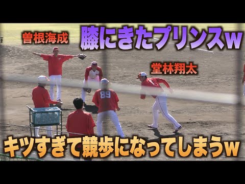 右へ左へ猛ダッシュ！なんとかこなす曽根海成とダッシュが競歩になってイジられる堂林翔太www
