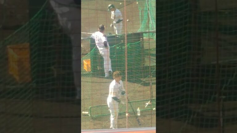 谷川原健太選手　高速連続トスバッティング（福岡ソフトバンクホークス2022年秋季キャンプにて）