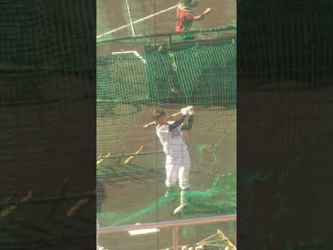 川原田純平選手、打撃フォームをチェックしながらのトスバッティング（福岡ソフトバンクホークス2022年秋季キャンプにて）