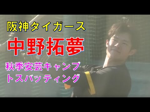阪神　中野拓夢　トスバッティング　秋季安芸キャンプ　20221112