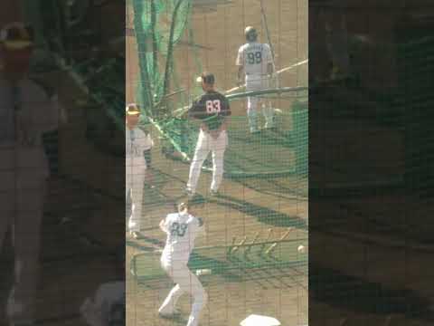 周東佑京選手（ソフトバンクホークス）の連続トスバッティング