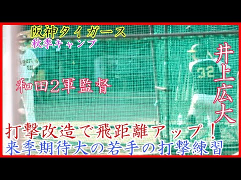 【秋季キャンプ】打撃改造で飛距離アップ！阪神 井上広大の和田2軍監督が見守るバッティング練習！