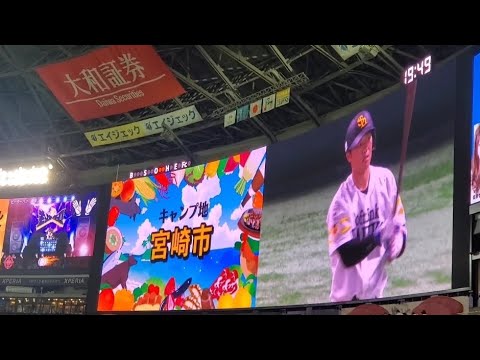20220625　海野隆司 第3打席の登場曲【｢ピーターパン｣／優里】　6回ｳﾗ　福岡ｿﾌﾄﾊﾞﾝｸﾎｰｸｽ@福岡PayPayﾄﾞｰﾑ･外野ﾗｲﾄ