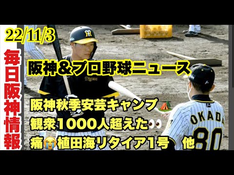 【毎日阪神＆プロ野球ニュース】22/11/3 阪神秋季安芸キャンプ観衆1000人超えた！植田海がリタイア1号😢オリックス日本一パレードに30万人　他＃阪神タイガース  #プロ野球ニュース　＃毎日阪神