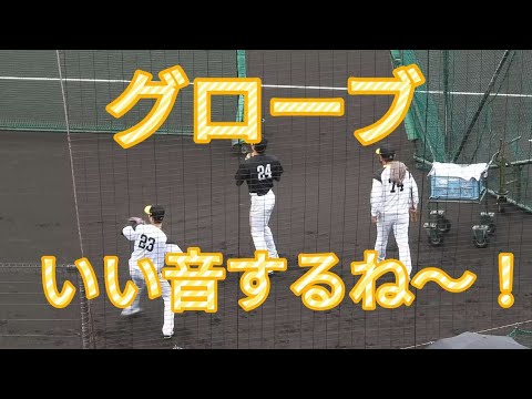 【グローブいい音】今宮健太選手他、レギュラーメンバーのキャッチボールする音が響いて心地よい😀
