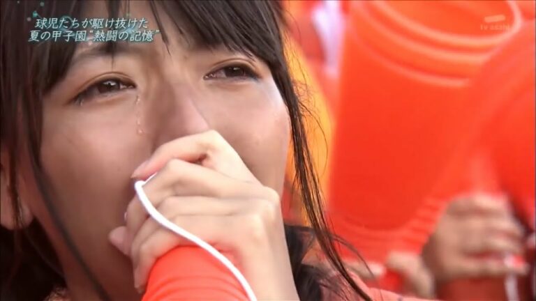 高校野球 2013