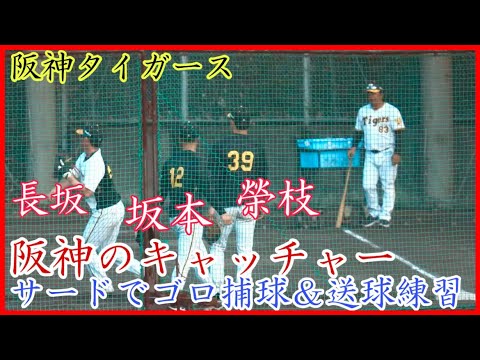 【秋季キャンプ】阪神タイガース捕手陣！坂本&長坂&榮枝のサードノック！