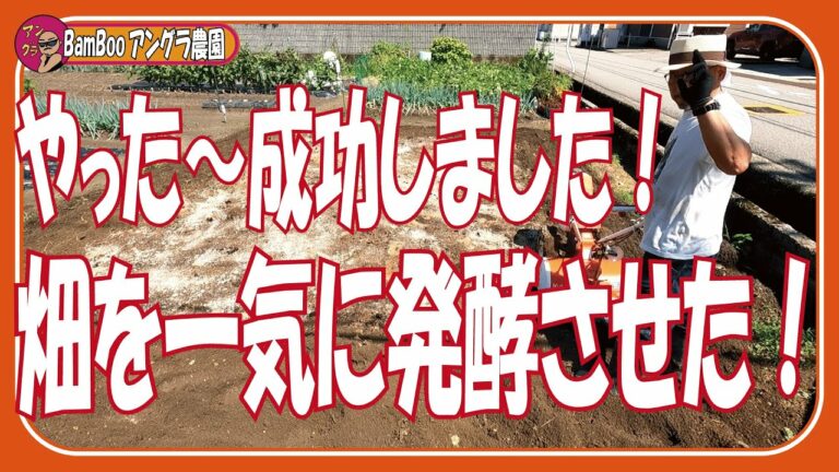 最終章☆大成功！必見☆納豆菌、米ぬかで堆肥作り！【無農薬・石川県・家庭菜園】