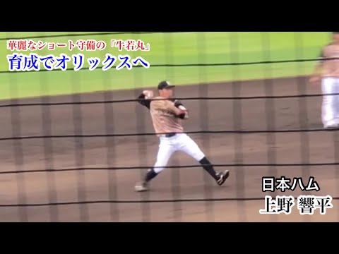 【オリックスへ】上野 響平 (日本ハム) 華麗なショート守備の「牛若丸」