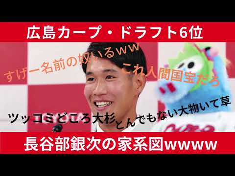 広島ドラフト6位・長谷部銀次の家系図wwwwwww【カープ】