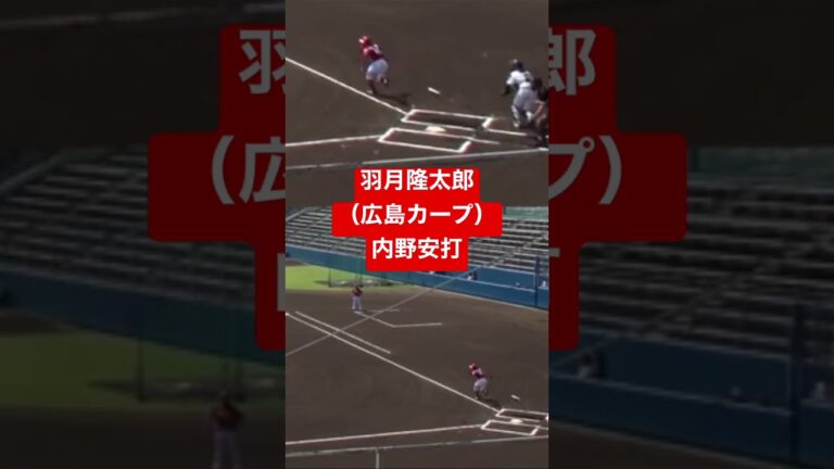 羽月隆太郎（広島東洋カープ）内野安打　#shorts