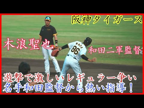 【秋季キャンプ】激しいレギュラー争いする阪神 木浪聖也の遊撃守備練習！名手和田二軍監督から熱心な指導！