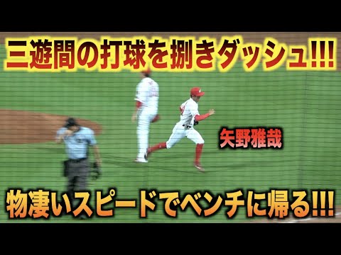 ダッシュでベンチに戻るww三遊間の打球を華麗に捌き物凄いスピードで帰っていく矢野雅哉www