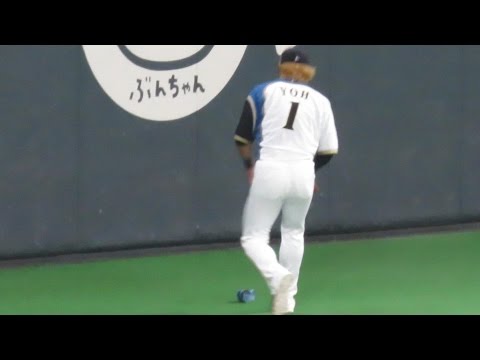 客の落とし物を拾う陽岱鋼（北海道日本ハムファイターズ）