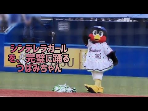 🎀君はシンデレラ…バード?!🎀完璧に踊るつばみちゃん