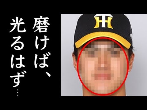 あの掛布が惚れた阪神タイガースの若手有望株！果たして大ブレークするのか！