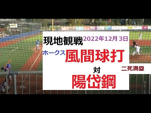 【2022年12月3日】風間球打 vs 陽岱鋼。二死満塁での対戦。【豪州リーグ】Kazama VS Dai-Kang Yang
