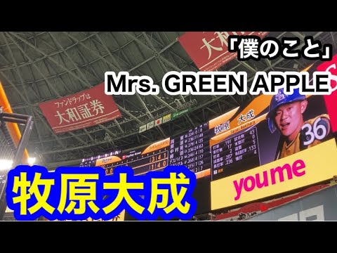 #36 牧原大成(ソフトバンクホークス)登場曲「僕のこと」／ Mrs.GREEN APPLE【鷹の祭典2020】