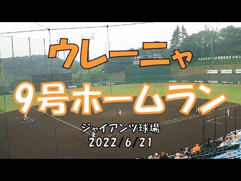 ウレーニャ 9号ホームラン