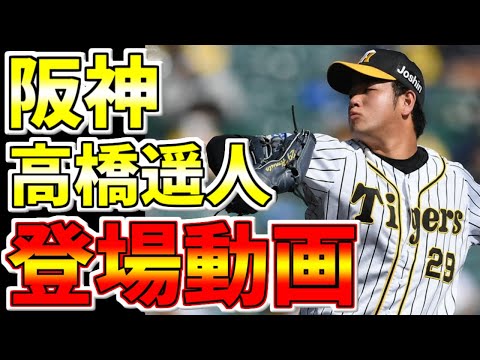 阪神タイガース🐯高橋遥人登場動画　#阪神タイガース #タイガース #はるちゃん #Shorts #阪神 #高橋遥人 #左腕エース #高橋