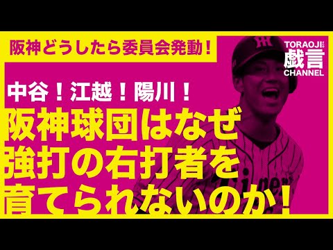 『阪神／ストーブリーグ企画』中谷！江越！陽川！阪神球団はなぜ強打の右打者を育てられないのか！