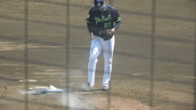 嘉手苅浩太, RHP, 東京ヤクルトスワローズ (2022-06-19)