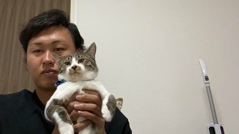 告知