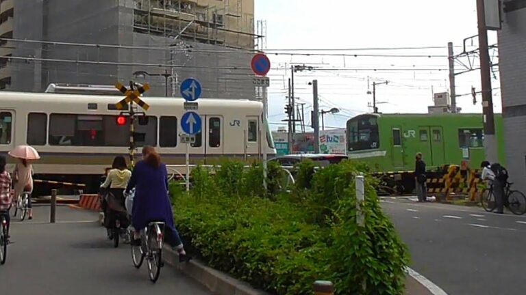 【201系】JR大和路線普通王寺駅行き　平野駅発車
