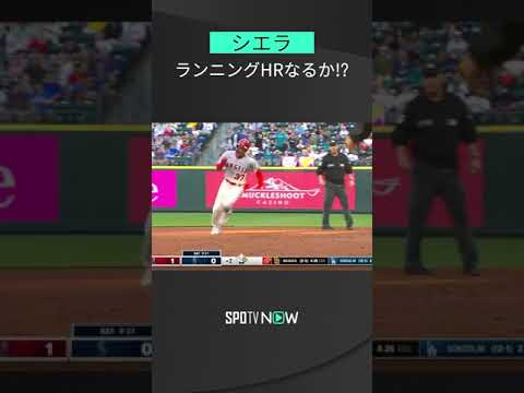 8.6 数センチ巡る攻防！ エンゼルス・シエラが相手ミスに乗じて激走もランニングホームランならず #angels #spotvnow