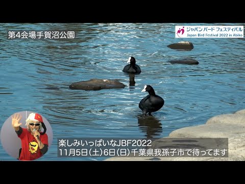 ジャパンバードフェスティバル2022