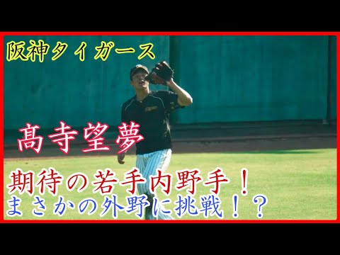 【秋季キャンプ】高寺君が外野挑戦!? 阪神 小幡&高寺の期待の内野手コンビ！